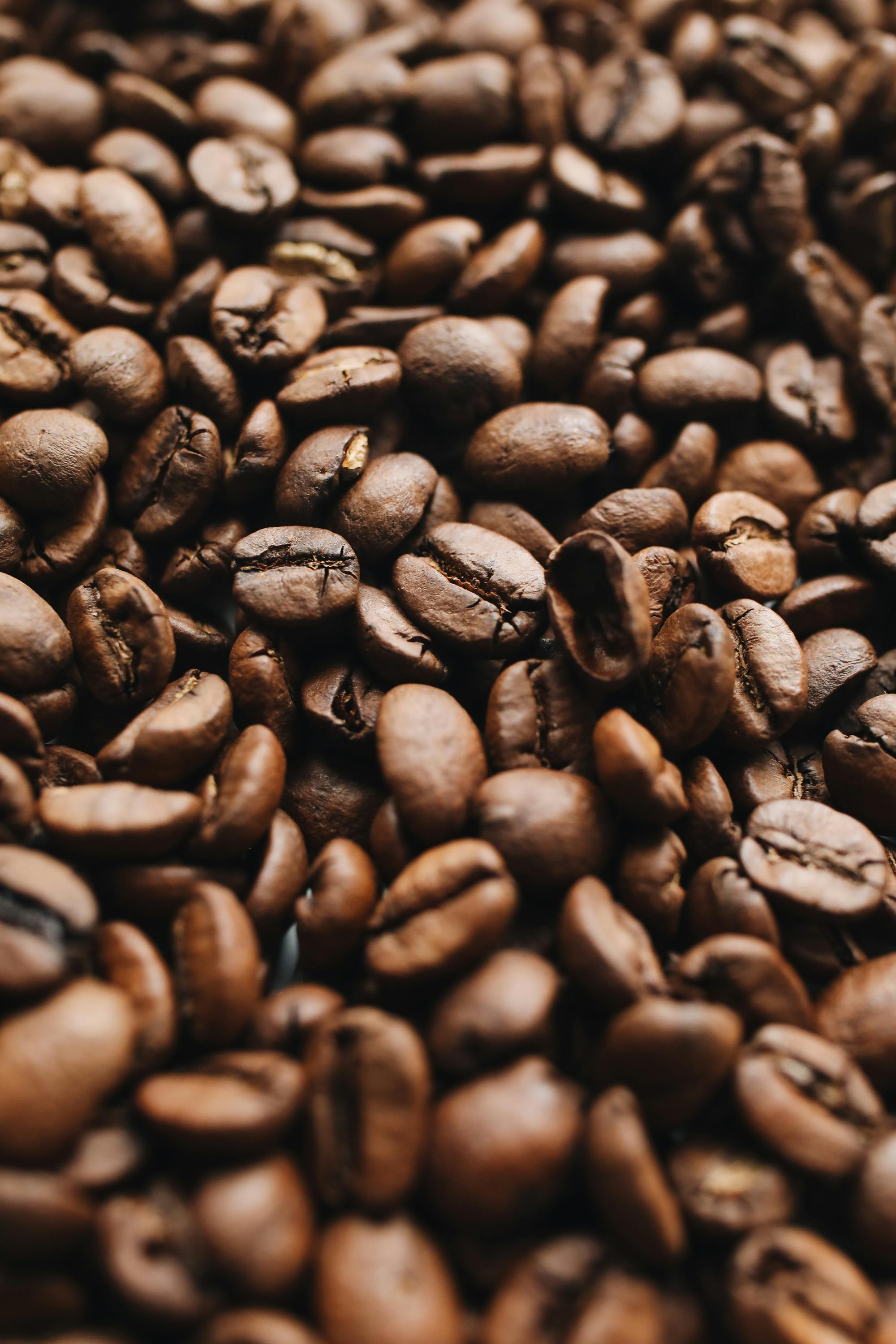 Kopi V60