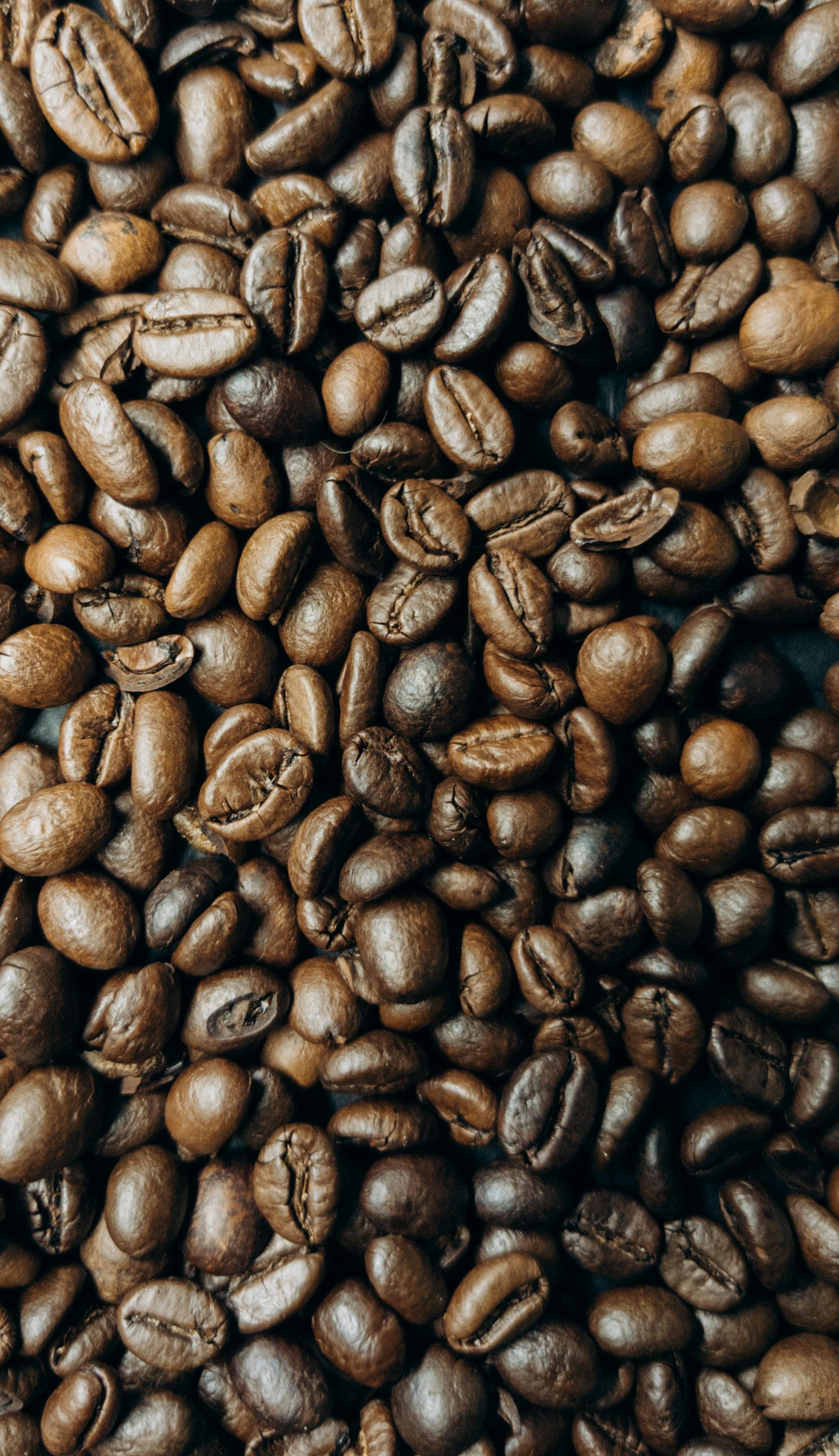 Kopi V60